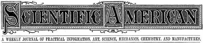 Scientific American Banner
