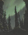 aurora borealis