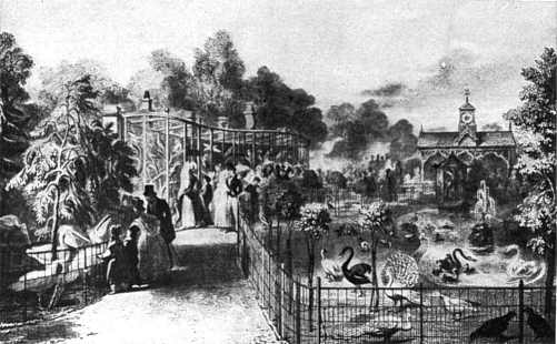 London Zoo Waterfowl Park 1830