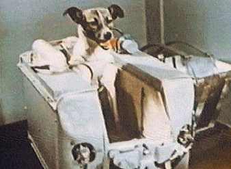 Laika