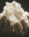 pulp paper history pulp paper history