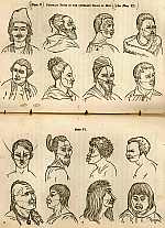 Plates from Earth and Man