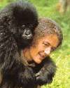 Dian Fossey