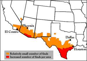 Map showing the spread of AHB's in the U.S.