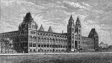 Engraving - British Museum